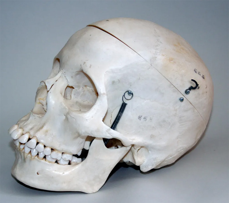 Cosa è l’osteopatia e i trattamenti osteopatiaci